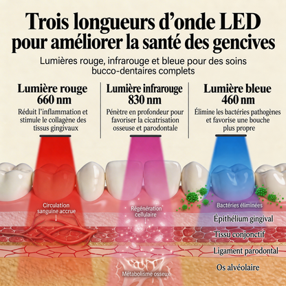 Oralux ™-Brosse à dents réparatrice pour gencives