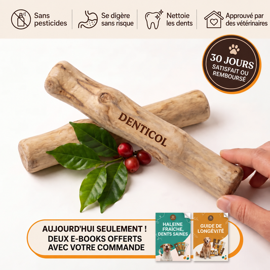 Denticol ™ Bâton à mâcher en bois de caféier