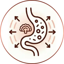Renforcé aux probiotiques
