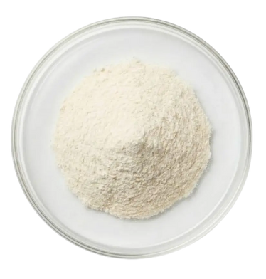 Lactobacillus acidophilus