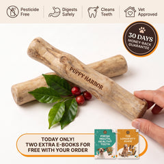 DENTICOL ™ Bâtonnet en bois de caféier