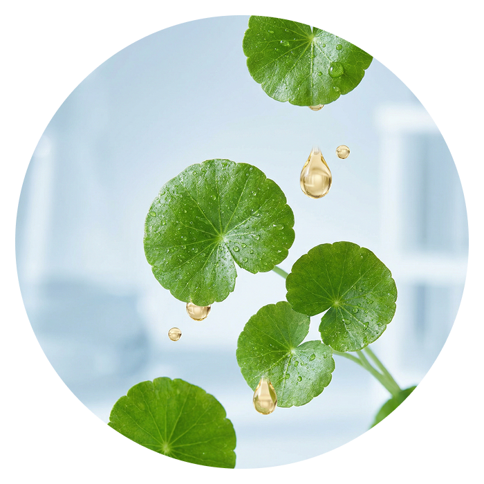 Centella Asiatica + céramides — la guérison ancestrale
